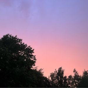 Meet your Posher, Lillian